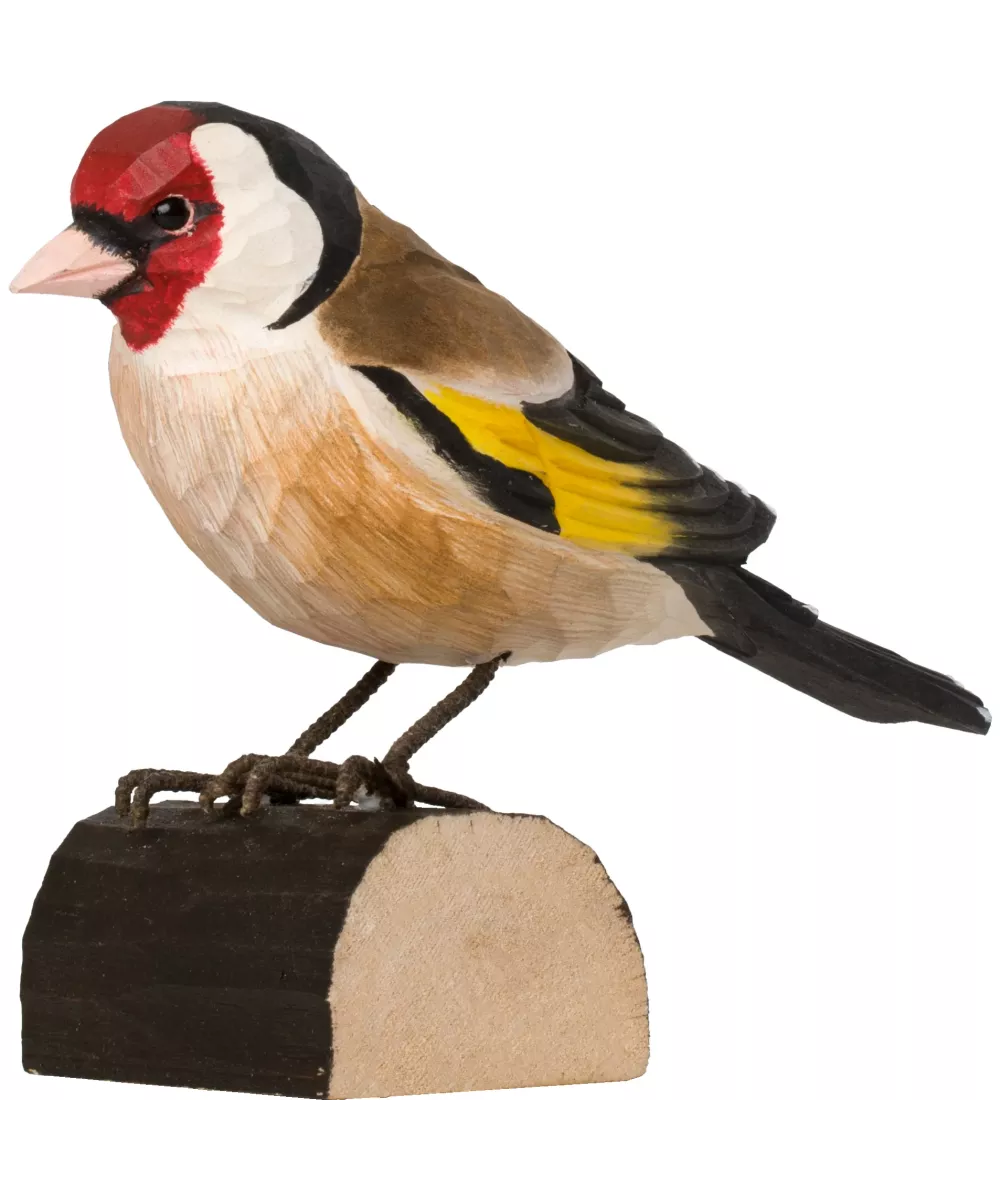 Oiseau chardonneret élégant