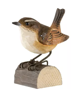 Oiseau troglodyte mignon