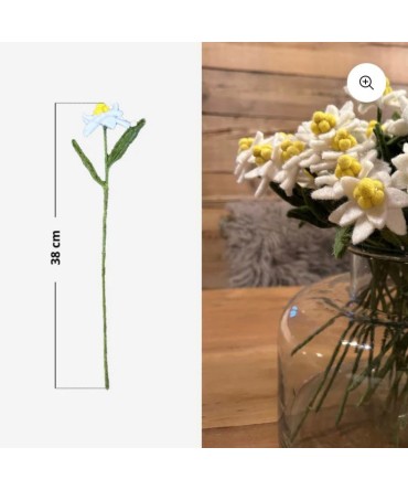 Fleur edelweiss en feutrine