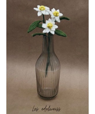 Fleur edelweiss en feutrine