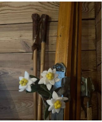 Fleur edelweiss en feutrine