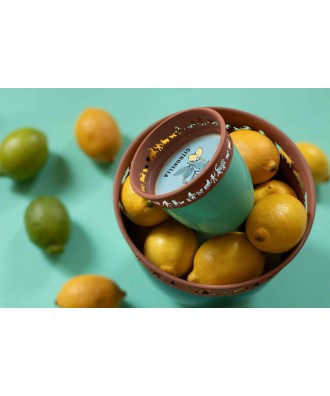 Bougie végétale parfumée à la citronnelle 2 mèches, cache port alpage en métal découpé