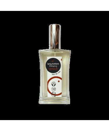 Spray senteur d'ambiance, senteur cannelle orange