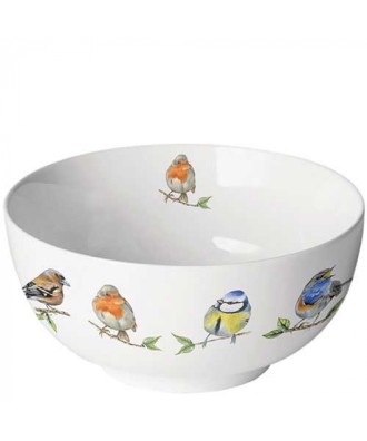 Bol en fine porcelaine motif oiseaux - bird species