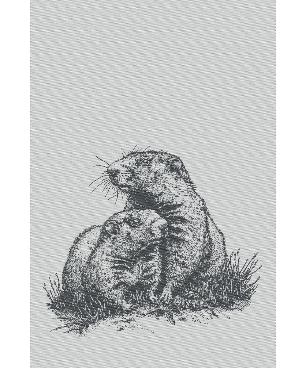 Linge de cuisine marmotte noir