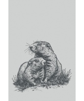 Linge de cuisine marmotte noir