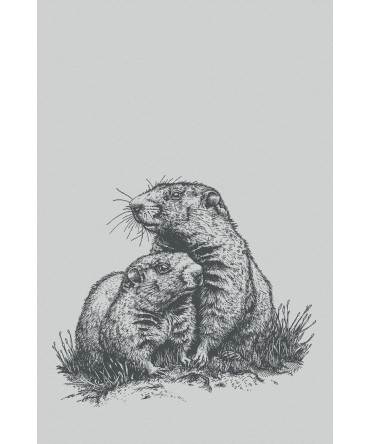 Linge de cuisine marmotte noir