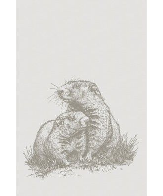 Linge de cuisine marmotte taupe