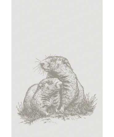 Linge de cuisine marmotte taupe